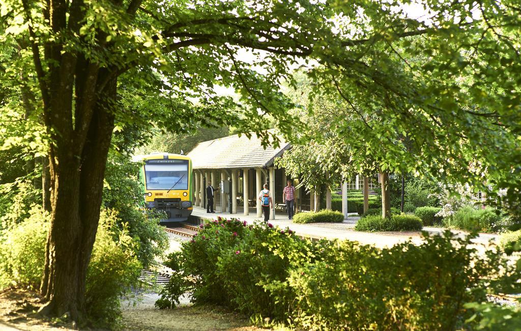 Rehwinkel Hotel Bodenmais Eksteriør billede